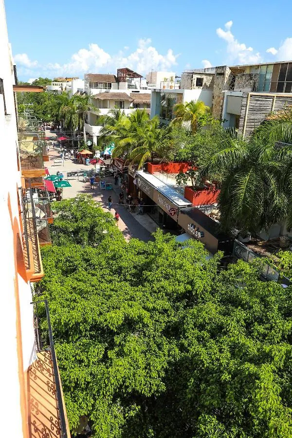 Alma Y Mar Apart Hotel 5Th Av Playa del Carmen